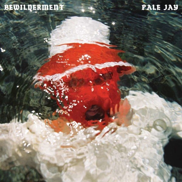 Pale Jay: Bewilderment -   - (Vinyl / Pop (Vinyl))