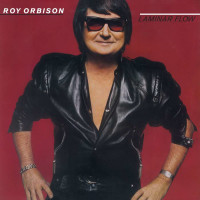 Roy Orbison: Laminar Flow (180g) (Limited Numbered Edition) (Bloody Mary Vinyl) -   - (Vinyl / Rock (Vinyl))