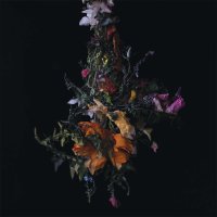 Big Brave: Nature Morte -   - (CD / N)