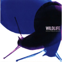 Anthony Phillips & Joji Hirota: Wildlife (Expanded...