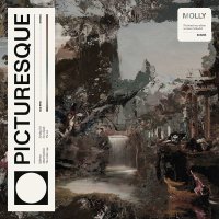 Molly: Picturesque -   - (CD / P)