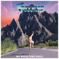 Freeroad: Do What You Feel! -   - (Vinyl / Rock (Vinyl))