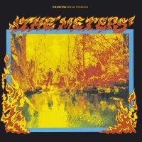 The Meters: Fire On The Bayou