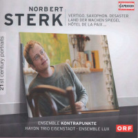 Norbert Sterk: Kammermusik -   - (CD / K)