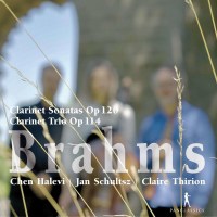 Johannes Brahms (1833-1897): Sonaten für Klarinette...