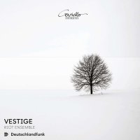 Ashkan Behzadi: Riot Ensemble - Vestige -   - (CD / R)