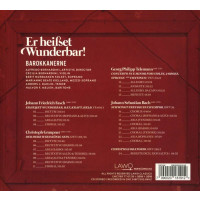 Johann Friedrich Fasch (1688-1758): Er heißet Wunderbar! - Barocke Weihnachtskantaten -   - (CD / E)