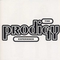 The Prodigy: Experience