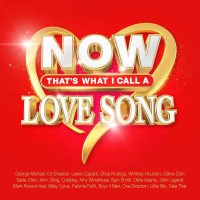 Now Thats What I Call A Love Song / Various: Now Thats...