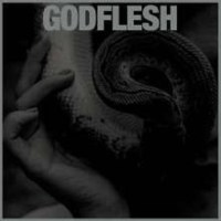 Godflesh: Purge (Black Vinyl) -   - (LP / P)