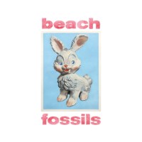 Beach Fossils: Bunny -   - (CD / B)