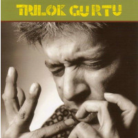 Trilok Gurtu: Broken Rhythms -   - (CD / B)