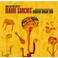 Mauri Sanchis: What Did You Expect -   - (CD / W)