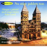 Nu stige jublets ton - Schwedische Weihnacht -   - (CD / N)