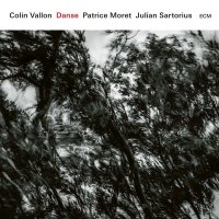 Colin Vallon: Danse -   - (CD / D)