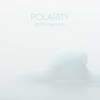 Hoff Ensemble: Polarity -   - (Blu-ray AUDIO / PopRock)
