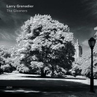 Larry Grenadier: The Gleaners -   - (CD / T)