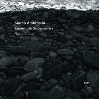 Marco Ambrosini: Resonances -   - (CD / R)