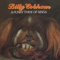 Billy Cobham: A Funky Thide Of Sings -   - (CD / A)