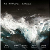 Piotr Schmidt: Dark Forecast -   - (CD / D)