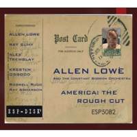 Allen Lowe & The Constant Sorrow Orchestra: America:...