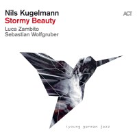 Nils Kugelmann: Stormy Beauty -   - (CD / S)