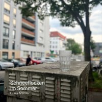 Lukas Meister: Schneeflocken im Sommer -   - (LP / S)