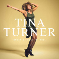 Tina Turner: Queen Of Rock N Roll (180g) (Limited Edition Box Set) -   - (LP / Q)