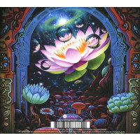 Ozric Tentacles: Lotus Unfolding -   - (CD / L)