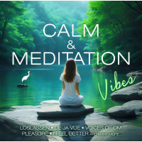 Various Artists: Calm & Meditation Vibes -   - (CD / C)