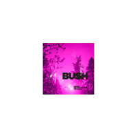 Bush: Loaded: The Greatest Hits 1994 - 2023 -   - (CD / L)