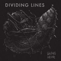 Dividing Lines: Waiting For Life -   - (LP / W)