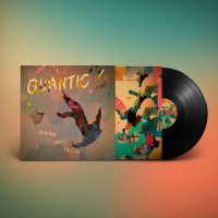 Quantic: Dancing While Falling -   - (LP / D)