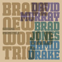 David Murray, Brad Jones & Hamid Drake: Seriana...