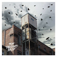 Fat Freddys Drop: Blackbird Returns -   - (LP / B)