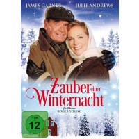 Zauber einer Winternacht