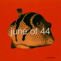 June Of 44: In The Fishtank