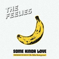 The Feelies: Some Kinda Love: The Music Of The Velvet...