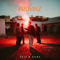 Provinz: Zorn & Liebe (Black Vinyl) -   - (LP / Z)