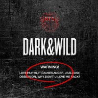 BTS (Bangtan Boys/Beyond The Scene): Dark & Wild...