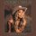 Colbie Caillat: Along The Way -   - (LP / A)