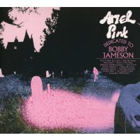 Ariel Pink: Dedicated To Bobby Jameson