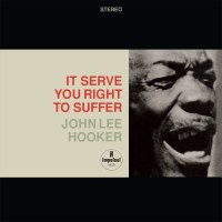 John Lee Hooker: It Serve You Right To Suffer (180g) (45...