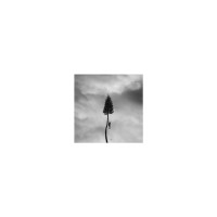 Manchester Orchestra: A Black Mile to the Surface (180g)...