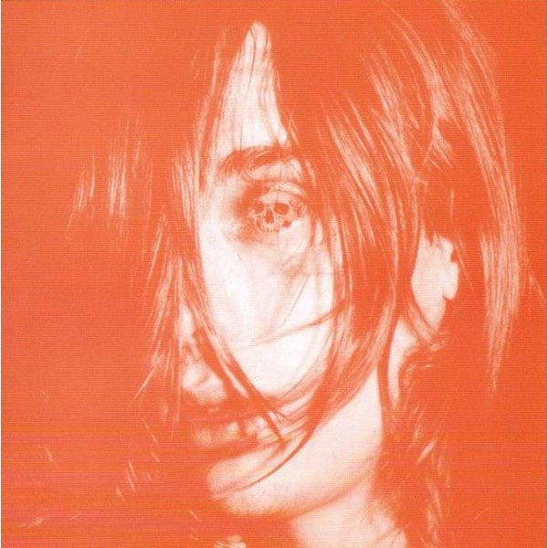 Deerhunter: Microcastle / Weird Era Continued