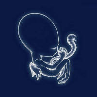 Sigur R�s: Agaetis Byrjun