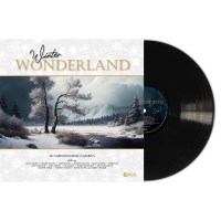 Various Artists: Winter Wonderland (180g) -   - (LP / W)