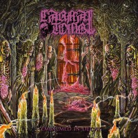 Carnal Tomb: Embalmed In Decay (Translucent Magenta W/...