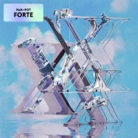 Pan-Pot: Forte