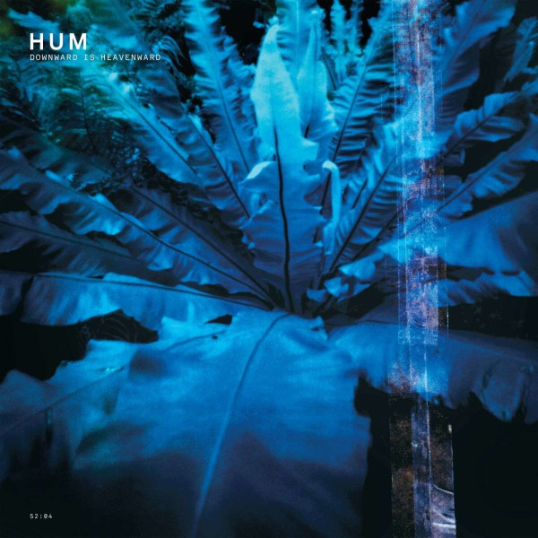 Hum (Alternative Rock): Downward Is Heavenward (remastered) (180g)